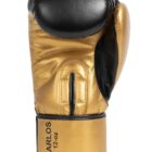 Carlos Zlatne Rukavice