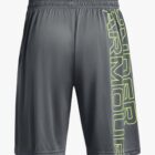 UA Tech WM Graphic Šorc